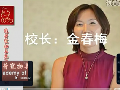 宠物美容教程，学会即上手搞钱！